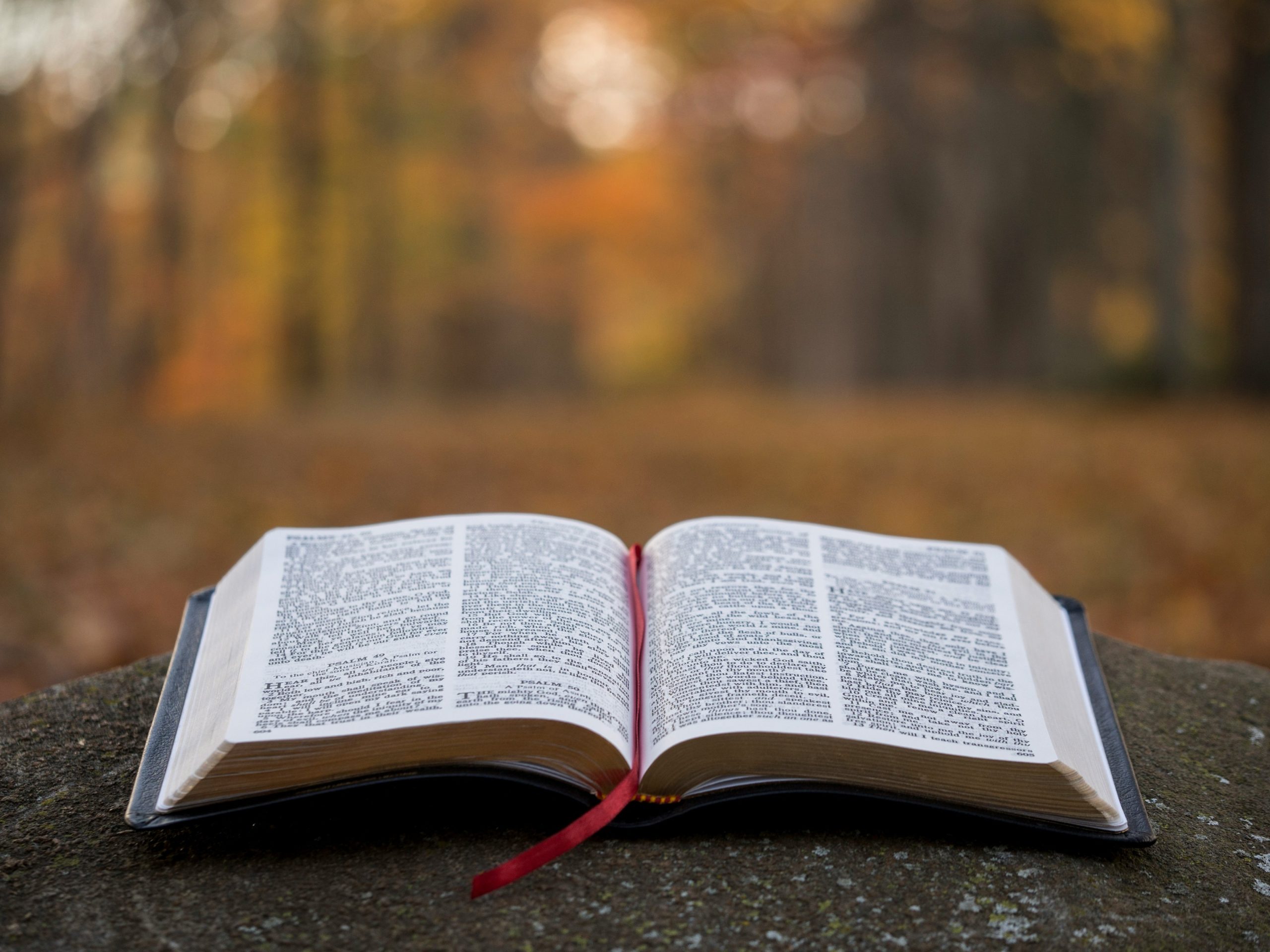 An open bible | Image Source: Unsplash
