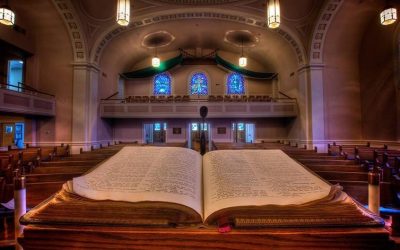 The AME Book of Discipline as Governance Tool