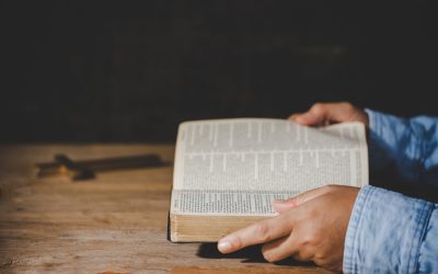 The AME Book of Discipline Explained Simply